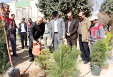 گزارش تصویری از آئیین درختکاری و تقدیر ازهمکاران فضای سبز دانشگاه
